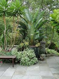 27 Grossartige Ideen Fur Die Gestaltung Tropischer Garten 00007 Ideen Fur Hausrenovierung Die Fur Garten In 2020 Tropischer Garten Tropische Garten Garten