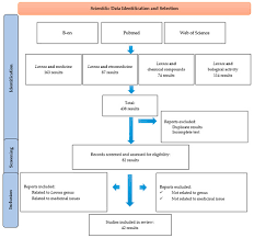 Image result for Lannea schimperi