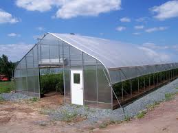 In addition to these perennials, also consider annuals and some great biennials, such as foxglove (digitalis) for the shade garden. High Tunnel Vs Greenhouse Vs Hoop House Which Is Right For Me Rimol Greenhouse Systems