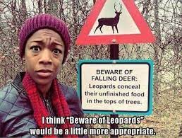 Don T Worry About The Leopards They Ll Only Attack You If You Are Made Of Meat The Dead Deer On The Other Hand Humor Hilarious Funny Signs
