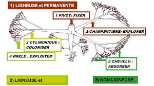 We did not find results for: Http Www Architetturadeglialberi It Wp Content Uploads 2015 05 1 Radici E Sistema Radicale Degli Alberi Pdf