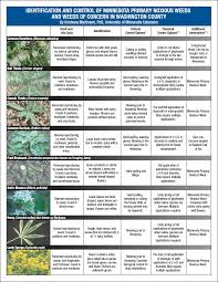 Weed Identification Guides Free Pdf Downloads