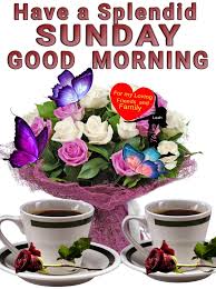 A lot of wishes, messages, quotes and photo greeting cards image associated with sunday morning. Best Sunday Good Morning Quotes Images Wishes Greetings