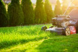 These are some of the top benefits of hiring professional lawn maintenance companies and we hope readers will take the right. Lawn Care Companies Mow Health Care Workers Lawns Free Of Charge Irrigation And Green Industry Magazine