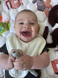 What age did you transition your LO from purées to solid food? And what  were some low stress foods you started with ? My son has been doing only  purees for a