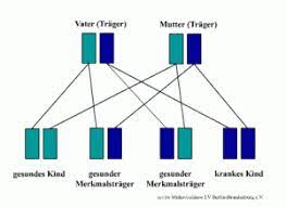 Die mukoviszidose (zystische fibrose oder in anderer schreibweise auch cystische fibrose ursachen. Ursache Vererbung Diagnose Mukoviszidose