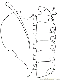 Free butterfly life cycle coloring page for you to print out and color in! Caterpillar Coloring Page For Kids Free Caterpillar Printable Coloring Pages Online For Kids Coloringpages101 Com Coloring Pages For Kids