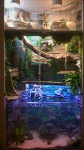 When we slide them open, he crawls out and up the. 30 Diy Bearded Dragon Terrarium Ideas That Are Absolutely Stunning Exopetguides