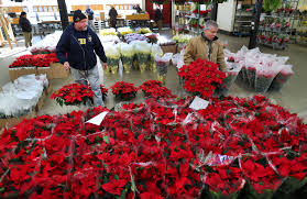 Maybe you would like to learn more about one of these? Facing Last Christmas In Boston Flower Exchange Looks To Bloom Anew In Chelsea The Boston Globe