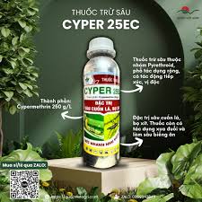 Cyper 25EC