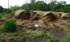 We did not find results for: Horse Manure From Road Apples To Fantastic Fertilizer Epic Gardening