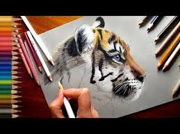 How To Draw Realistic Cat Fur With Colored Pencils Emmy Kalia Youtube Realistic Drawings Realistic Animal Drawings Animal Drawings