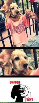 Isn T This Animal Cruelty Oh God Why Know Your Meme