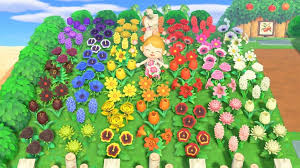 Who sells flowers in animal crossing. One Of Every Flower Rainbow Garden Finally Complete Animalcrossing Animal Crossing Rainbow Garden New Animal Crossing