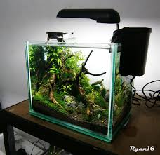 My Simple Nano Nano Aquariums Nano Aquarium Aquarium Planted Aquarium
