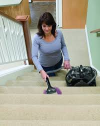 Bissell 3624 Spotclean Portable Carpet Cleaner Amazon Com Bissell Spotclean Professional Portable Carpet Cleaner 3624 Green Machine How To Clean Carpet Portable Carpet Cleaner Carpet Cleaner Solution