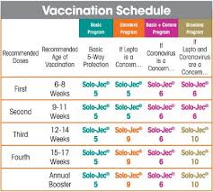 Vaccination Chart Boehringer Ingelheim Vetmedica