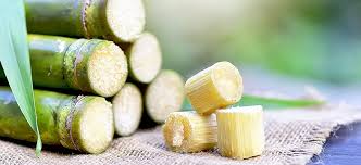 Top Health Benefits of Sugarcane You Should Know
