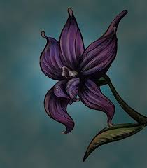 July Birth Flower Larkspur Tattoo Larkspur July Larkspur Tattoo Larkspur Flower Tattoos Flower Tattoo Designs