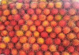 Check spelling or type a new query. Food Photography Rambutan Small Red Spiked Fruit Steemit