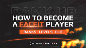 Faceit Cs Go Beginner S Guide