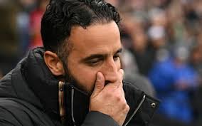 Steve Bruce may never be Rafa Benitez's equal at Newcastle but criticism of  him is disgraceful