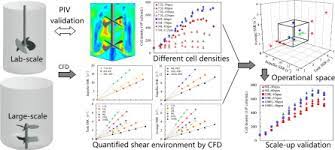 Cultures of animal cells can be grown in vitro within controlled laboratory environments and are used for research in cell biology or as a method for producing products of commercial interest. Novel Scale Up Strategy Based On Three Dimensional Shear Space For Animal Cell Culture Sciencedirect