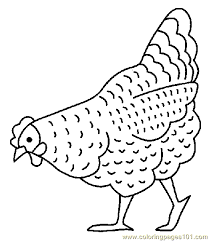 See more ideas about chicken art, chickens, chickens and roosters. Free Rooster Pictures To Print Free Printable Coloring Page Chicken Coloring Page 0001 1 Animal Chicken Coloring Animal Coloring Pages Embroidery Patterns