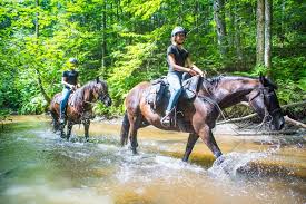 Si les matières sont multiples dans mon atelier, il est vrai que je me concentre en priorité vers les chevaux et les femmes. Les Femmes Sauveuses Du Cheval Canadien La Terre De Chez Nous