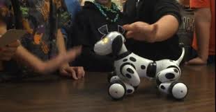 Toy Tester #5: Furby, Zoomer, and bracelet maker