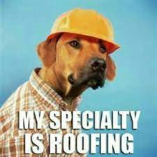 Roof The Roofer Can He Fix It Well It Is His Speciality Lol Roof Giggle Dog Lol Fix Laugh Spec Funny Puns Funny Pictures Funny