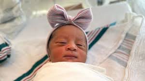 Former Annapolis Democratic Party chairman suspended from practicing law