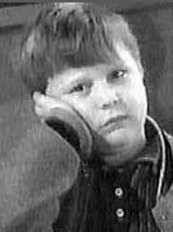 I like that each episode evolved with Jerry's and Tony's age. Beaver wore  that silly cap less and less as he got older. I don't believe Jerry Mathers  lost his acting ability