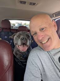 Donating to hotel sleepover program for dogs