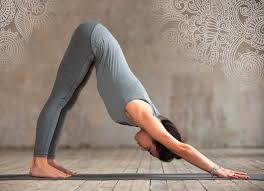 The jivamukti yoga method is a proprietary style of yoga created by david life and sharon gannon in 1984. Animal Inspired Yoga Poses Yogi Tea