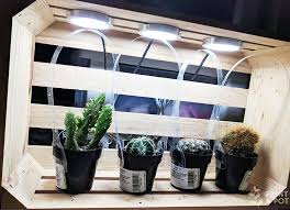 Cacti plants are an exceptionally resilient group of plants, and just as much as they are resilient, they are diverse! How To Diy Led Grow Light Box Print A Pot