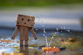 Image result for danbo