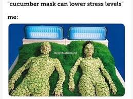 Don T Like Lavender Try Cucumbers Funny Life Humor Funny Quotes About Life