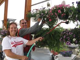 Everything is blooming at the new Village Ace Hardware in Linden