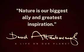 Just to make it clear, i am a huge fan. Qazini A Life On Our Planet 33 Tweetable David Attenborough Quotes That Will Inspire You To Make A Change Qazini