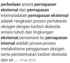 Apakah Perbedaan Pernapasan Eksternal Dengan Internal Brainly Co Id