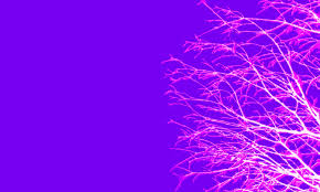 We did not find results for: Cotton Candy Wallpapers 44 Best Cotton Candy Wallpapers And Images On Wallpaperchat