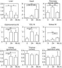 Alexa fluor dyes are frequently used as cell and tissue labels in fluorescence microscopy and cell biology. In Vivo Analysis Of Autophagy In Response To Nutrient Starvation Using Transgenic Mice Expressing A Fluorescent Autophagosome Marker Molecular Biology Of The Cell
