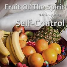 Image result for self control fruit images free
