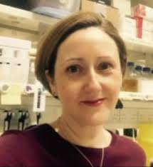 Director's introduction