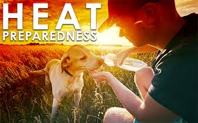 Jun 16, 2021 · animal control issues warning to protect pets in high heat this week. Summer Heat Resources