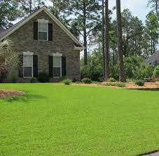 We did not find results for: Centipedegrass Yearly Maintenance Program Home Garden Information Center