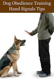 Dog Obedience Training Hand Signals Dog Training Techniques Dog Training Obedience Dog Obedience Dog Training