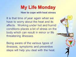 My Life Monday How To Cope With Heat Stress It Is That Time Of Year Again  When We Have To Worry About The Heat And Its Affects. Working Under Hot And  Humid. -