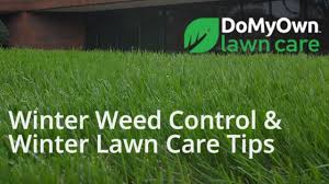 Is your online source for do it do my own is a small pest control products retailer which operates the website domyownpestcontrol.com. Domyown Com Diy Pest Control Lawn Care And More Home Facebook